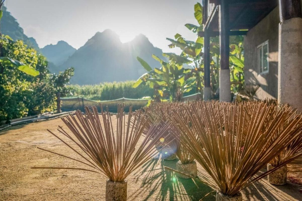 Ban Gioc Waterfall Cao Bang Tour from Hanoi in 3 Days 2 Nights - photo 16